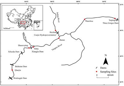 Genetic Diversity and Population Differentiation of Chinese Lizard Gudgeon (Saurogobio dabryi) in the Upper Yangtze River
